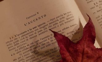 L'accento, approfondimento di fonologia per gli studenti del primo anno della Scuola Secondaria di I grado. | Homework & Muffin