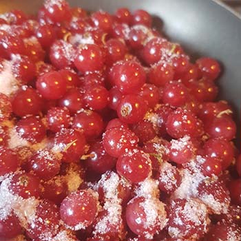 Cupcake alla panna e ribes: ricetta per la merenda dolce per gli studenti della Scuola Secondaria di I grado a cura di Gabriella Rizzo | Homework & Muffin