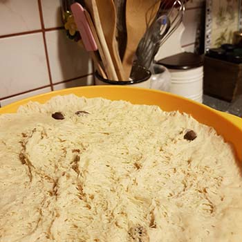 Panini con le olive per la vigilia della festa dell'Immacolata secondo la tradizione culinaria pugliese a cura di Gabriella Rizzo | Homework & Muffin