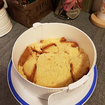 Merenda dolce delle vacanze natalizie: Torta delle feste. Per gli studenti della Scuola Secondaria di I grado a cura di Gabriella Rizzo | Homework & Muffin