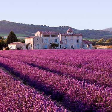 Territorio, popolazione ed economia della Francia, approfondimento di geografia per gli alunni della scuola secondaria di I grado. | Homework & Muffin