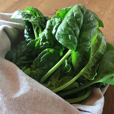 Burger di quinoa, tacchino e spinaci, ricetta per la merenda salata per gli studenti a cura di Gabriella Rizzo | Homework & Muffin