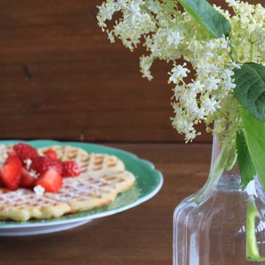 Waffel con fiori di sambuco, ricetta dolce per la merenda degli studenti della Scuola secondaria di I grado a cura di Gabriella Rizzo | Homework & Muffin