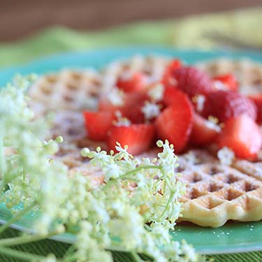 Waffel con fiori di sambuco, ricetta dolce per la merenda degli studenti della Scuola secondaria di I grado a cura di Gabriella Rizzo | Homework & Muffin