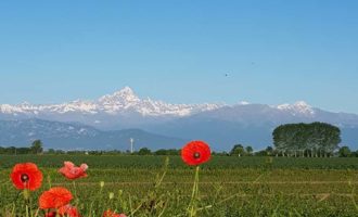 La montagna, approfondimento di Geografia per gli alunni del I anno della Scuola Sec. di I grado a cura della prof.ssa Gabriella Rizzo | Homework & Muffin