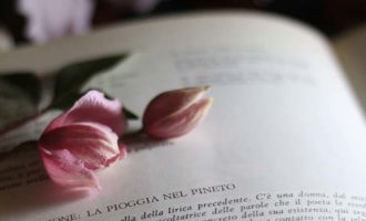 La pioggia nel pineto - G. D'Annunzio, approfondimento per gli alunni del III anno della Sc. Sec. di I grado a cura di Gabriella Rizzo | Homework & Muffin