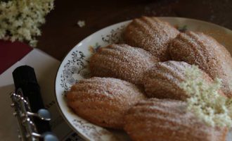 Madeleine alle fragole con limone e fiori di sambuco, ricetta per la merenda dolce per bambini e ragazzi a cura di Gabriella Rizzo | Homework & Muffin