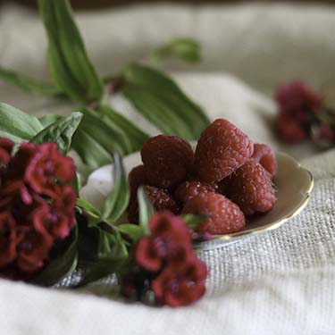 Crostatine ai lamponi e cocco, merenda dolce per il Viaggio dei Sapori promosso da AIFB, a cura di Gabriella Rizzo | Homework & Muffin