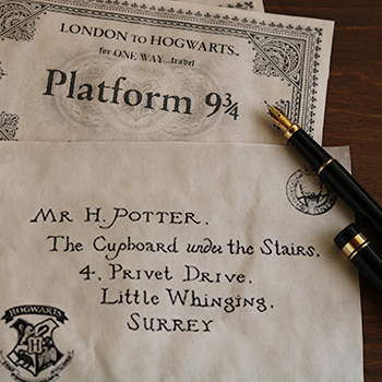 Torta di compleanno di Harry Potter, ricetta della famosa torta di cioccolato che Hagrid regala a Harry per il compleanno, a cura di Gabriella Rizzo | Homework & Muffin